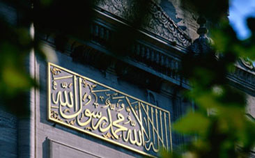 prtfl-img4.jpg